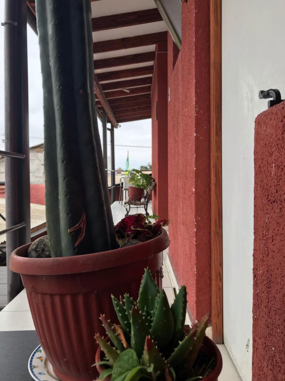 Hostal Avenue 라세레나 외부 사진